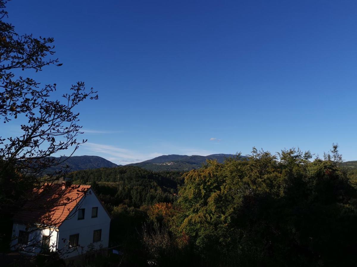 Suiten Am Rosenberg Грац Екстер'єр фото
